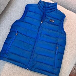 Patagonia Vibrant Blue Quilted Vest